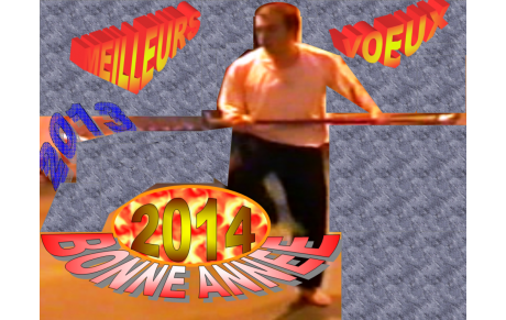 MEILLEURS VOEUX 2014